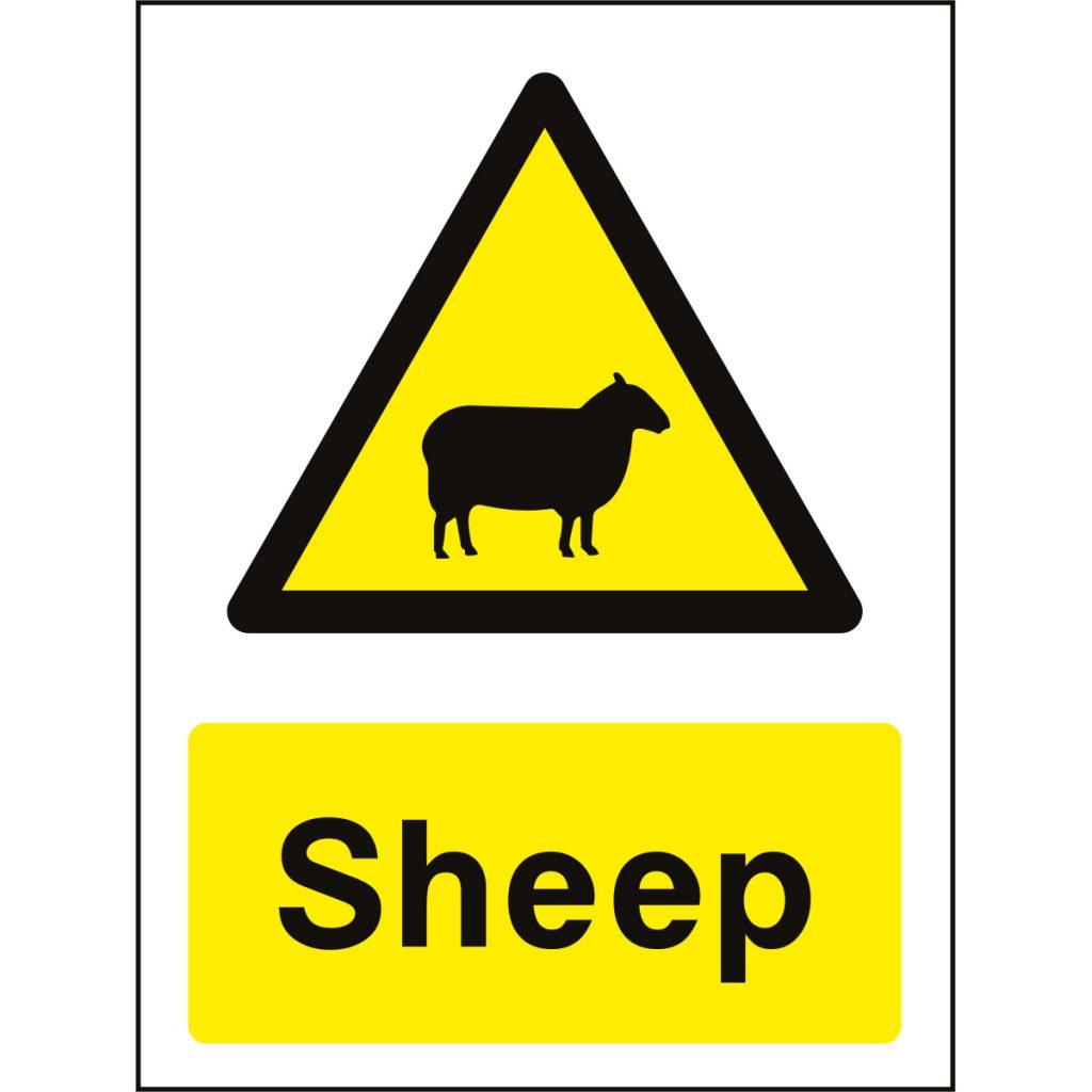 Iso Sheep Sheep Sign | Commercial & Safety Signs - High Quality Printed Signs